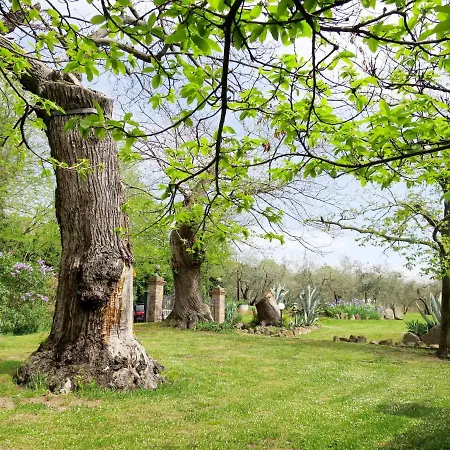 Casa vacanze Locazione Turistica Madonna Del Giglio - Bol385